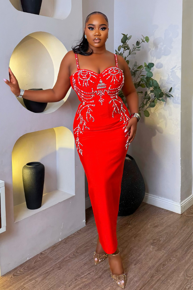 Velouré Scarlet Dress - STERA FASHION 