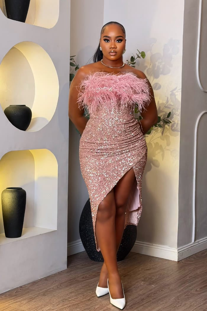 Blush Dynasty Dress - STERA FASHION 